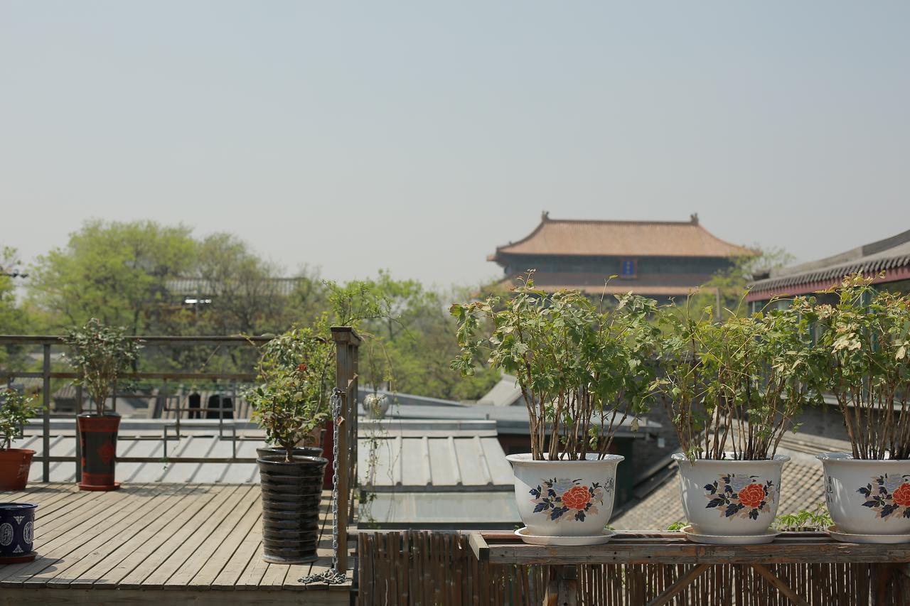 Palace Forbidden 3*